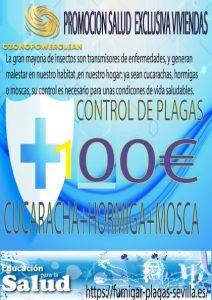 PRECIO FUMIGACION CASA 100€