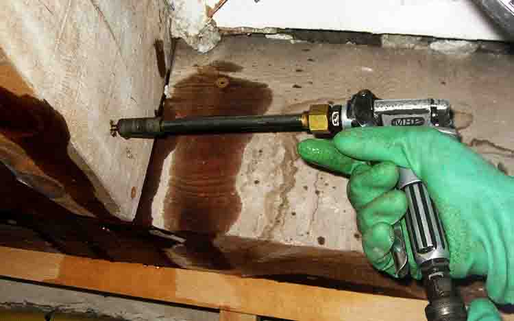 Tratamiento antitermitas para madera: protege tus muebles y estructuras de plagas