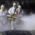 fumigador sevilla