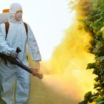 fumigador sevilla