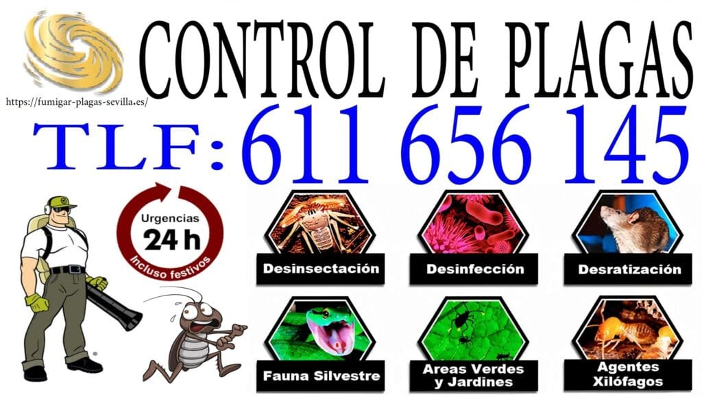 Control De Termitas En Espartinas-Servicio Rapido