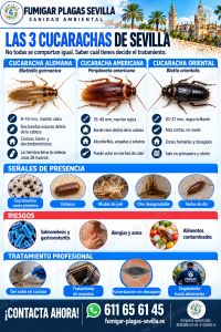 Cucarachas: cómo reconocerla