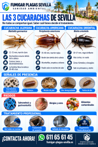 Cucarachas: cómo reconocerla