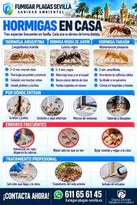 Hormigas: cómo reconocerla