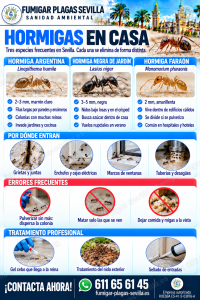 Hormigas: cómo reconocerla