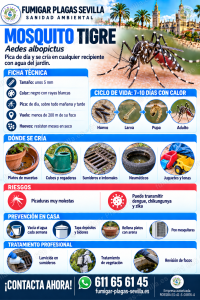Mosquito tigre: cómo reconocerla