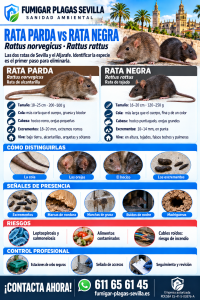 Ratas y ratones: cómo reconocerla