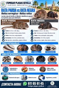 Ratas y ratones: cómo reconocerla