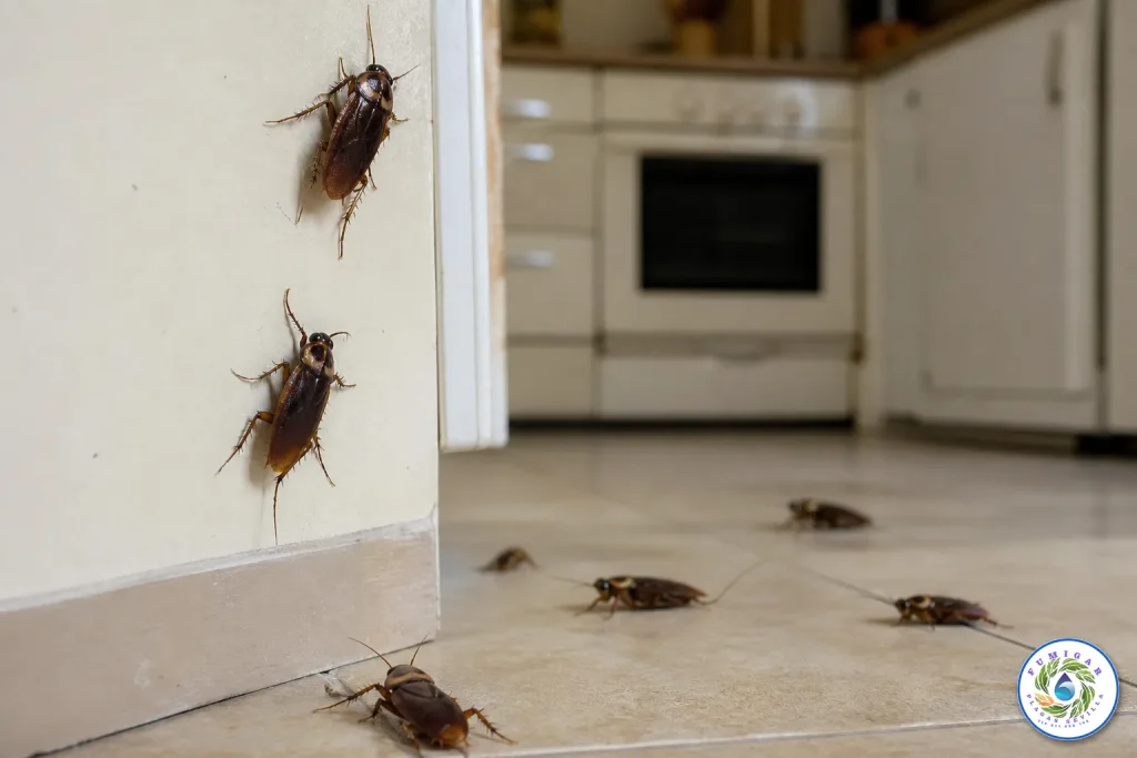 cucarachas en Olivares en la cocina de una vivienda tratada por control profesional de plagas