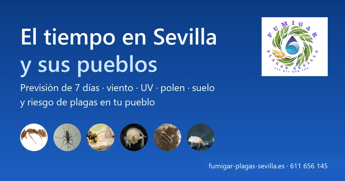 El tiempo en Sevilla y sus pueblos: previsión de 7 días, viento, UV, polen y riesgo de plagas