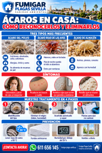 Ácaros: cómo reconocerla