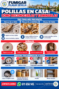 Polillas y palomillas: cómo reconocerla