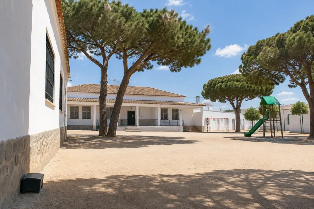 Patio de colegio con pinos piñoneros con bolsones de procesionaria y una estación de cebo junto al muro